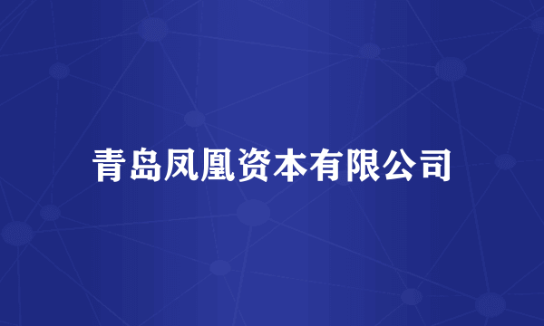 青岛凤凰资本有限公司