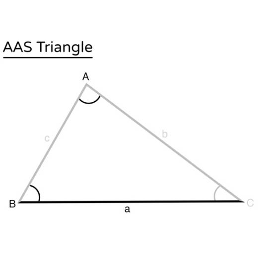 AAS（三角形全等的判定定理之一）