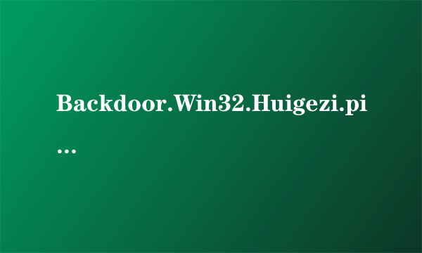 Backdoor.Win32.Huigezi.pigenon