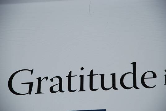 Gratitude（Jonah Matranga 演唱的歌曲）