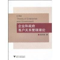 企业和政府客户关系管理理论