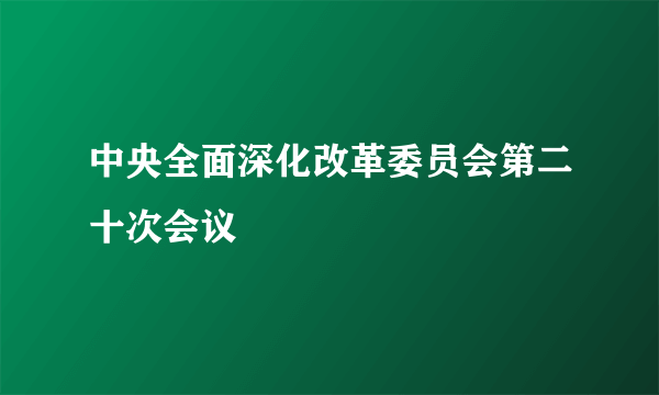 中央全面深化改革委员会第二十次会议