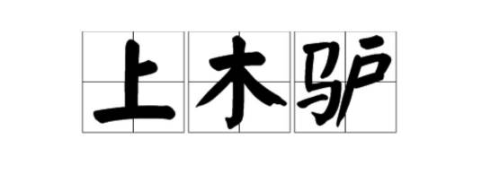 上木驴