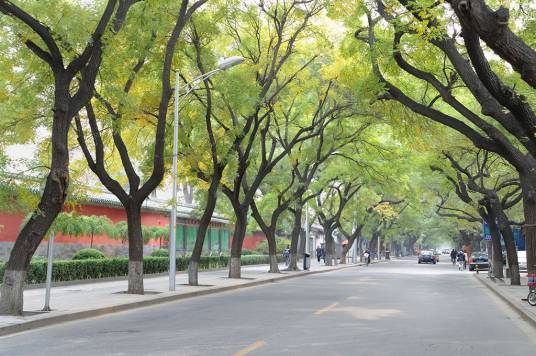 北京街道（广东省广州市越秀区辖街道）