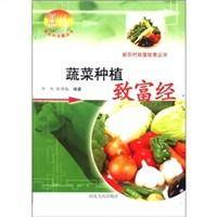 蔬菜种植致富经