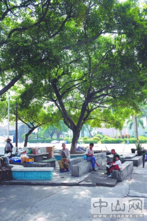 大车村（广东省中山市南朗镇下辖村）