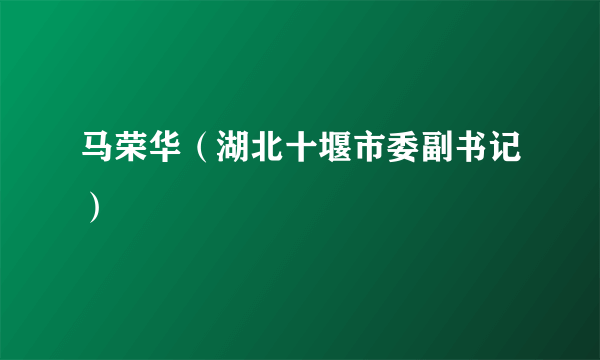 马荣华（湖北十堰市委副书记）