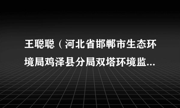 王聪聪（河北省邯郸市生态环境局鸡泽县分局双塔环境监察中队原负责人）