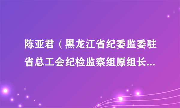 陈亚君（黑龙江省纪委监委驻省总工会纪检监察组原组长、省总工会原党组成员）