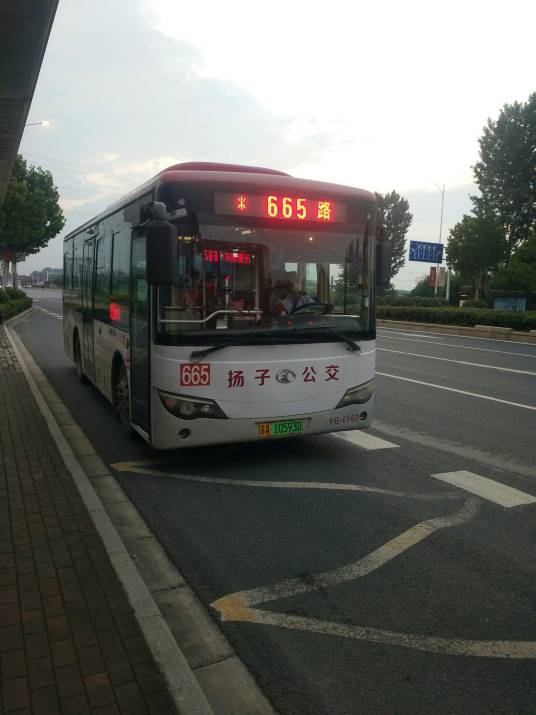 南京公交665路