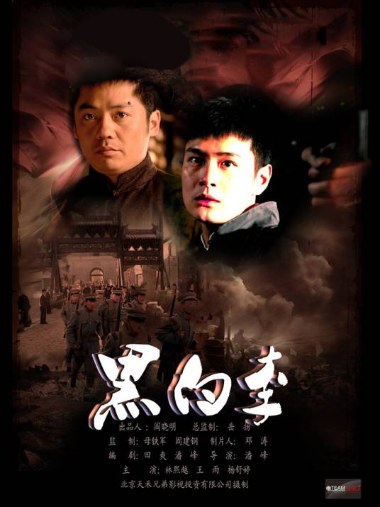 黑白李（2010年杨舒婷主演电影）