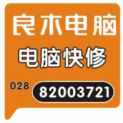 良木电脑维修服务有限公司
