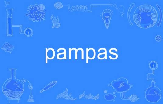 pampas