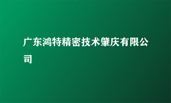 广东鸿特精密技术肇庆有限公司
