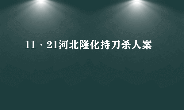 11·21河北隆化持刀杀人案