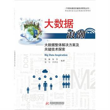大数据浪潮（2015年华中科大出版社出版出版的图书）