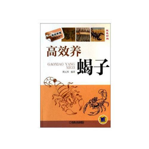 高效养蝎子