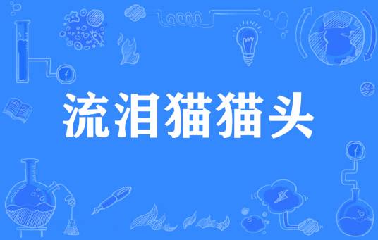 流泪猫猫头