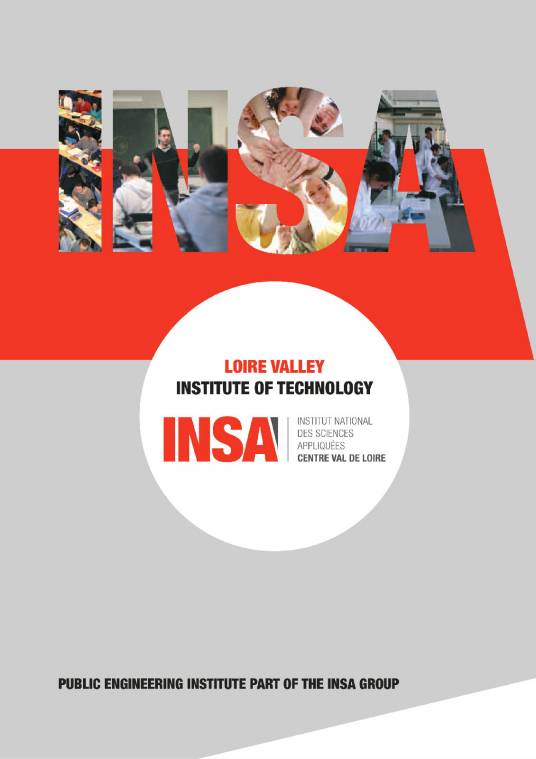 卢瓦尔河谷国立应用科学学院
