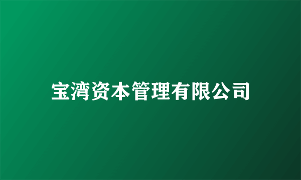 宝湾资本管理有限公司