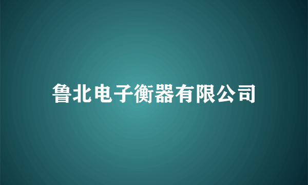 鲁北电子衡器有限公司