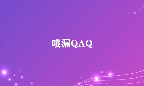 哦漏QAQ