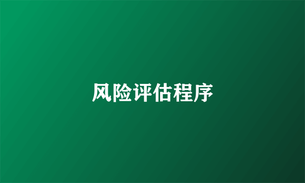 风险评估程序
