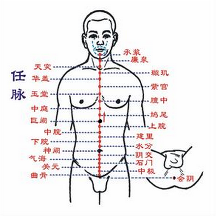 巨阙（中医穴位名）