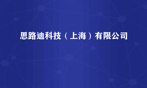 思路迪科技（上海）有限公司