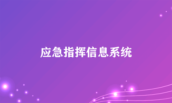 应急指挥信息系统