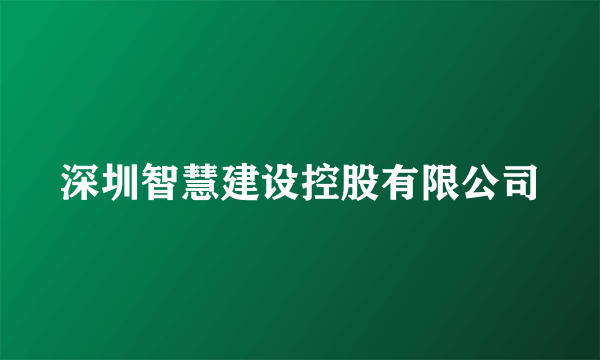 深圳智慧建设控股有限公司