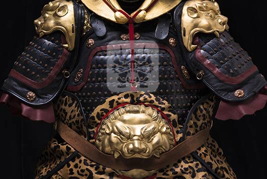 胸甲（身体上部护具）