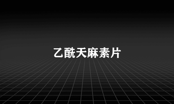 乙酰天麻素片