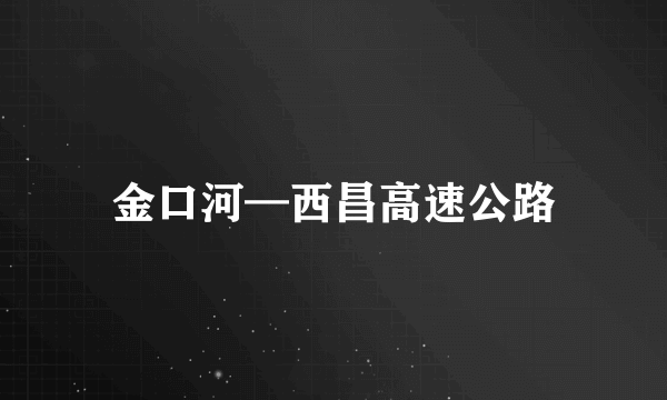 金口河—西昌高速公路