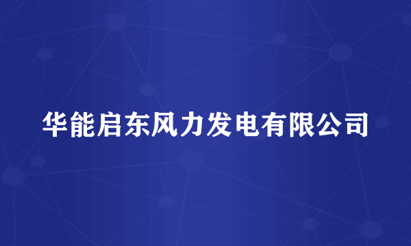 华能启东风力发电有限公司