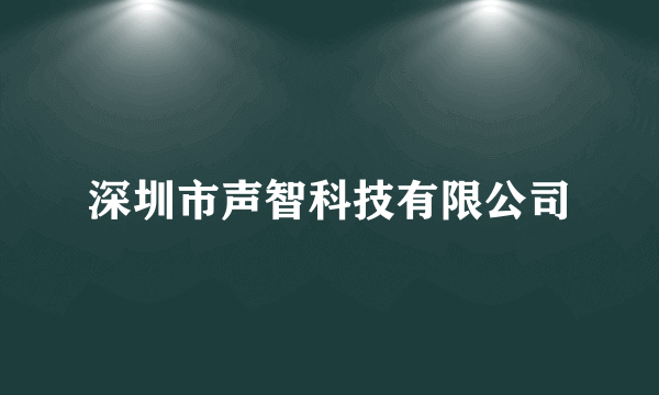 深圳市声智科技有限公司