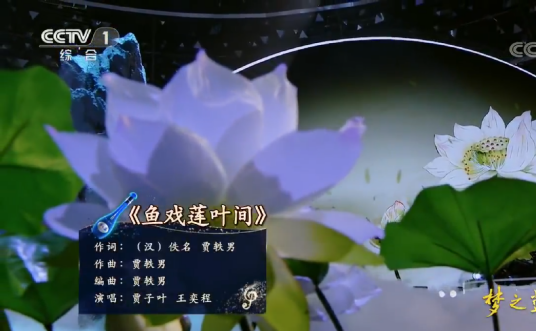 鱼戏莲叶间（贾子叶、王奕程演唱的歌曲）