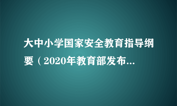 大中小学国家安全教育指导纲要（2020年教育部发布的文件）