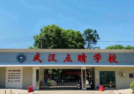 武汉东湖新技术开发区点睛学校