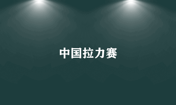中国拉力赛