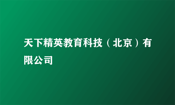天下精英教育科技（北京）有限公司