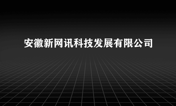 安徽新网讯科技发展有限公司