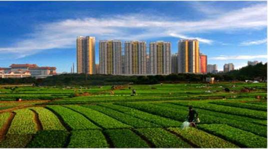 都市农业（农业类型）