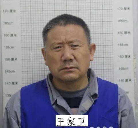 王家卫（安徽省涉恶犯罪组织首脑）