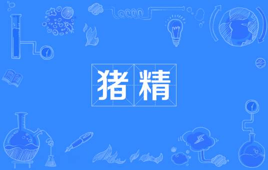 猪精（网络流行词）
