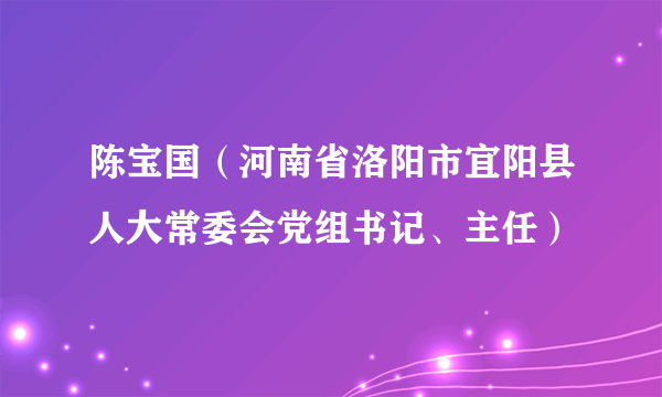 陈宝国（河南省洛阳市宜阳县人大常委会党组书记、主任）