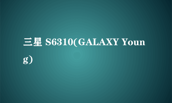 三星 S6310(GALAXY Young)