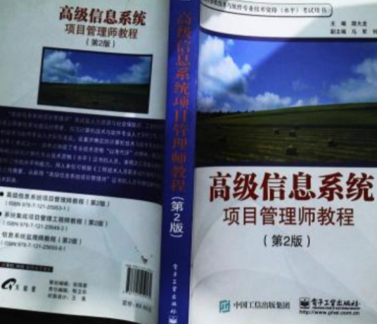 高级信息系统项目管理师教程（第2版）