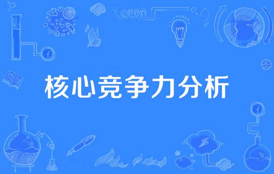 核心竞争力分析
