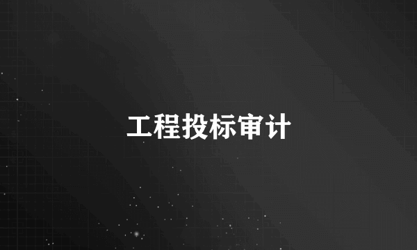 工程投标审计